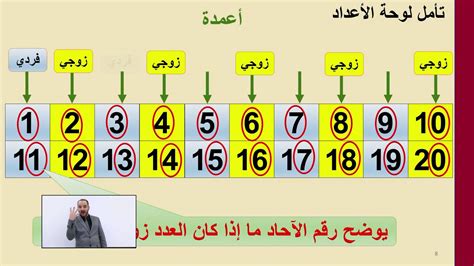 ناتج إضافة رقمين زوجي هو رقم - حبر العقل