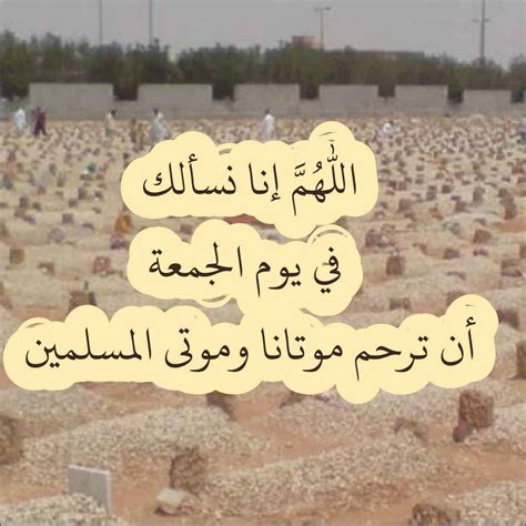 نايف تويتر પર اللهم ارحم الضالين بالعين والمكان والقلب ... نايف تويتر પર اللهم ارحم الضالين بالعين والمكان والقلب ...