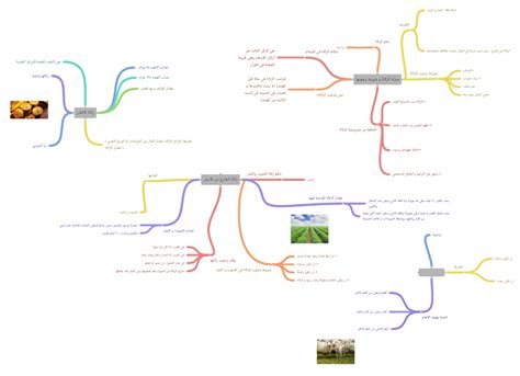 نصاب الحبوب والفاكهة - بيت المعرفة