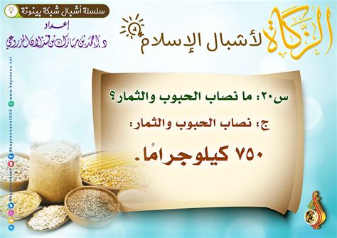 نصاب الحبوب والفاكهة - دروسي