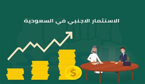 نظام الاستثمار الأجنبي - تفاصيل النظام