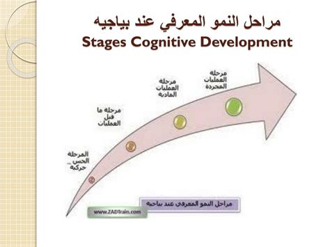 نظرية بياجيه