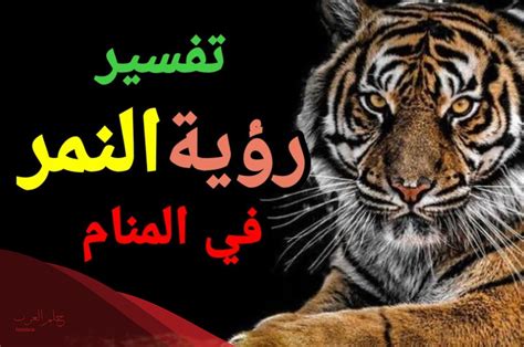 نمر في حلم سحري - ستة منازل نمر في حلم سحري - ستة منازل