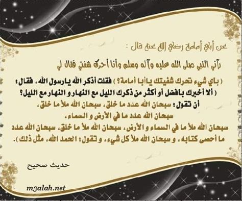 هذا الذكر يفضل ذكر الليل مع النهار - طريق الإسلام