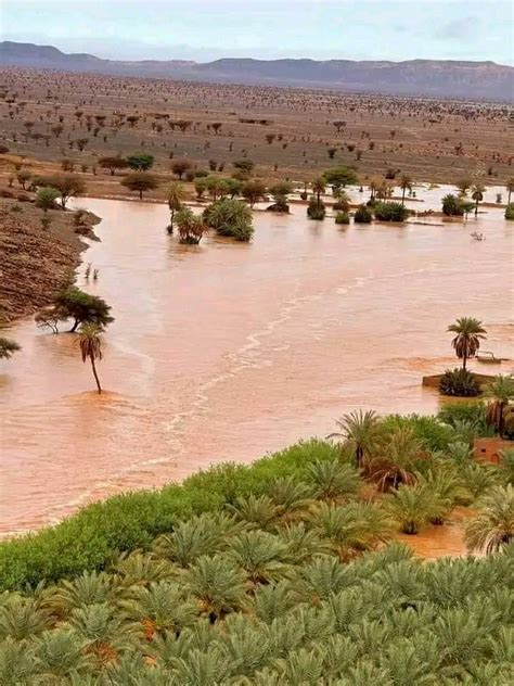 هذه القرية مصحوبة بالتصحر الى ادانة من جانب المنفيين - الاخبار