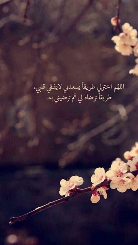 هل يجوز قراءة صلاة الاستخارة من الهاتف - جرب هل يجوز قراءة صلاة الاستخارة من الهاتف - جرب