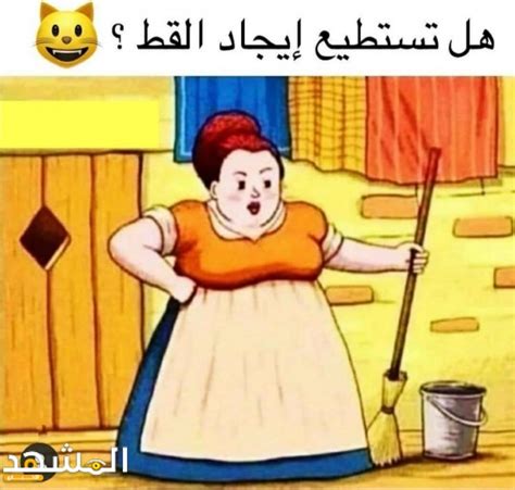 هناك قطة في الصورة أين هي - موقع لبقة