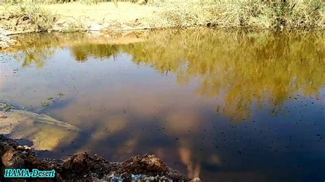 واجبنا في بركة الماء - الداعم الناجح