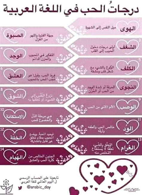 واحدة من أعلى درجات الحب من لغز 4 أحرف رقم 62 - نظرة على المعرفة