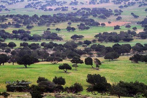 وجوب طاعة الحكام برحمة - ابن باز