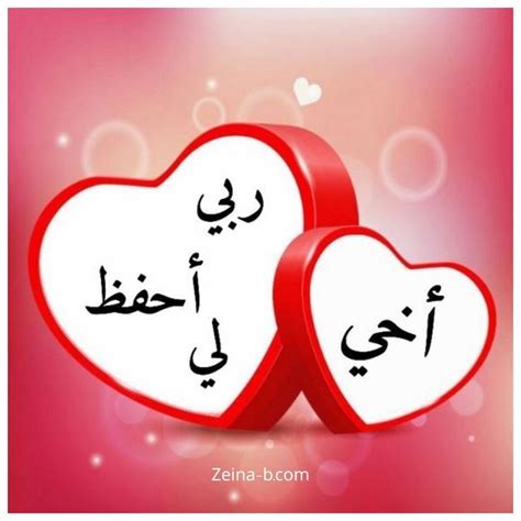 يا أخي لا تبحث عن الوضع يا أخي