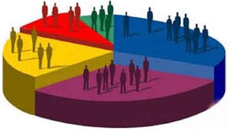يتم إجراء التعداد من قبل هيئة رسمية في وقت غير محدد من خلال جمع المعلومات في الموقع - الجمارك