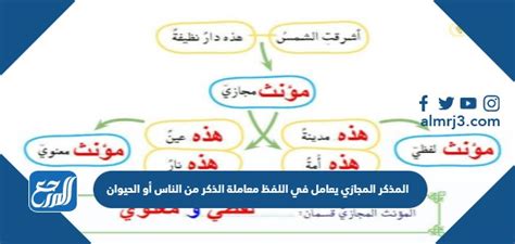 يتم التعامل مع المذكر المجازي في النطق مثل مذكر البشر أو الحيوانات - كل شيء