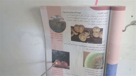 يتم تصنيف علم الأحياء على أنه علم غير طبيعي - المنصة
