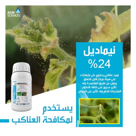 يتميز بانخفاض سعره وصغر حجمه الخارجي - درسي