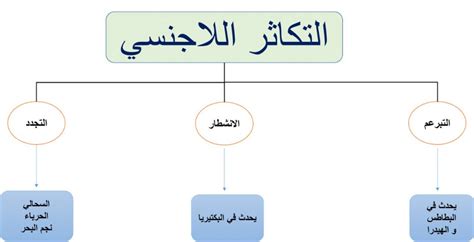 يسمى إنتاج أفراد جدد من نفس النوع بالمصدر