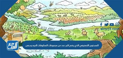 يسمى المستوى التصنيفي الذي يشمل معظم مجموعات الكائنات الحية بالمزيج السعودي