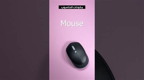 يسمى فن دكبج باللغة الإنجليزية