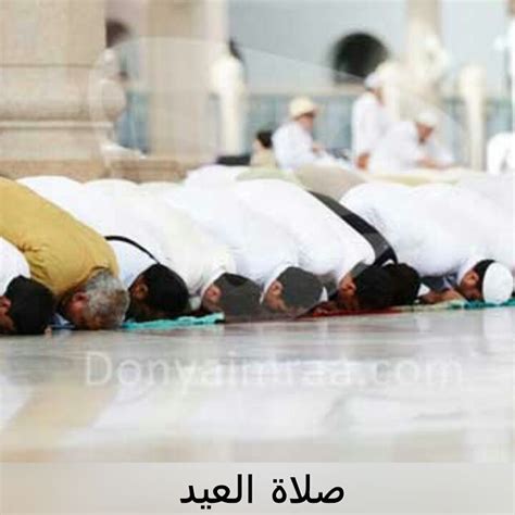 يسن أن يتوضأ في الصلاة - أمير الحل