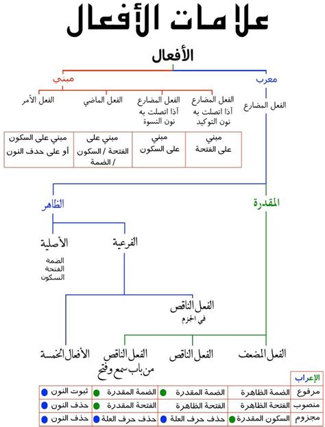 يمكن التعرف على أصل الألف الناعم في الأفعال الثلاثية من خلال الفعل المضارع الذي نقوله رمي - للنشر
