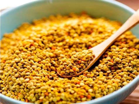 ينقلون حبوب اللقاح - أخبار
