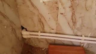 Video Adara Plomberie Algerie Clip Adara Plomberie Algerie Dowload