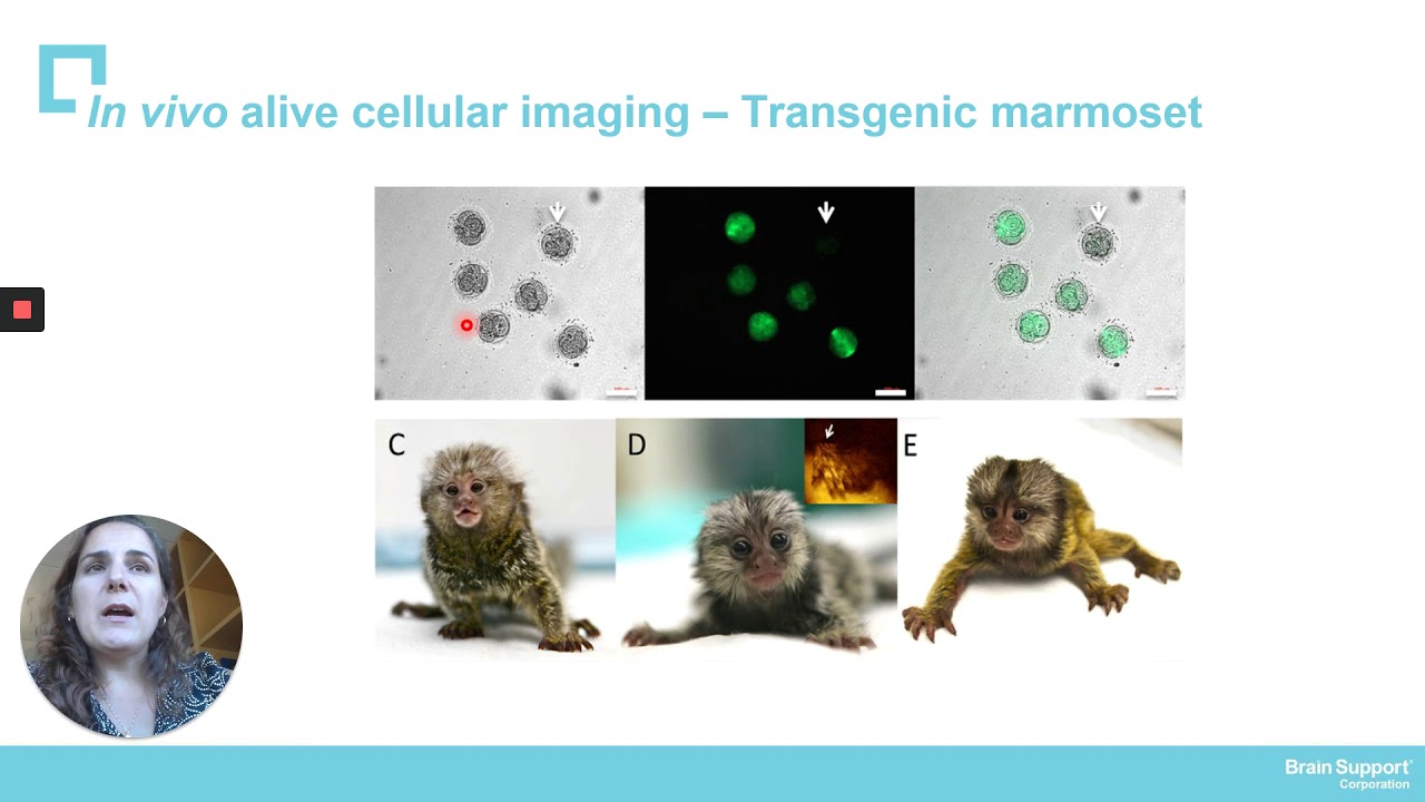 How Culture Drives Behaviours Julien S. Bourrelle TEDxTrondheim