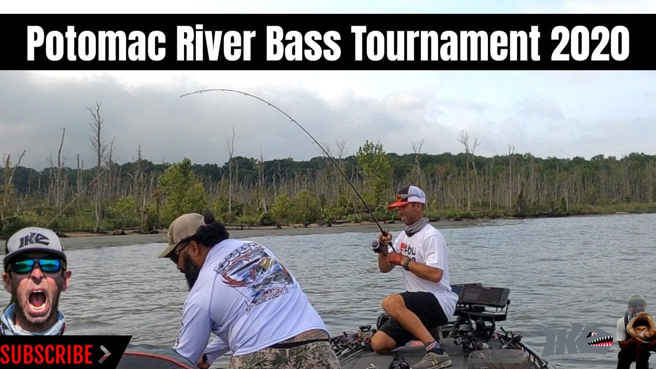 Potomac River Bass Tournament 2020 Bass Fishing Video
