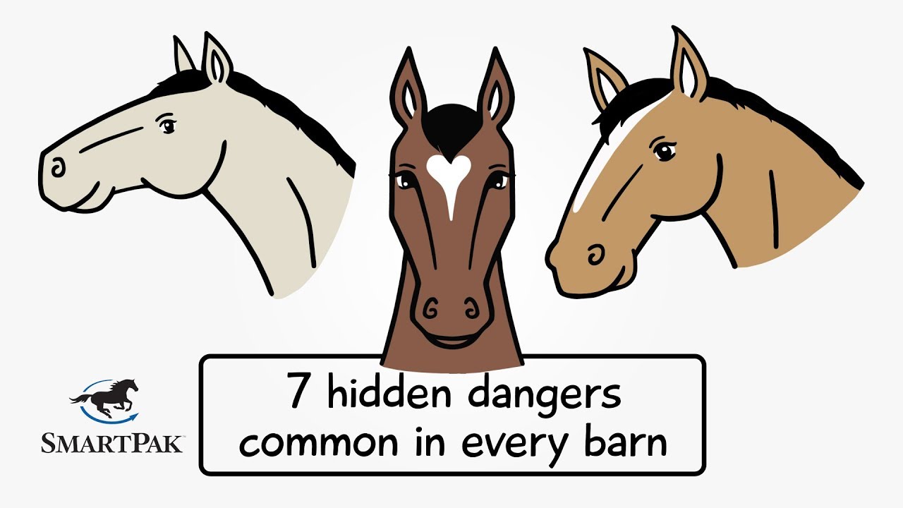 What’s Stressing Your Horse? Triggers & Relief SmartPak