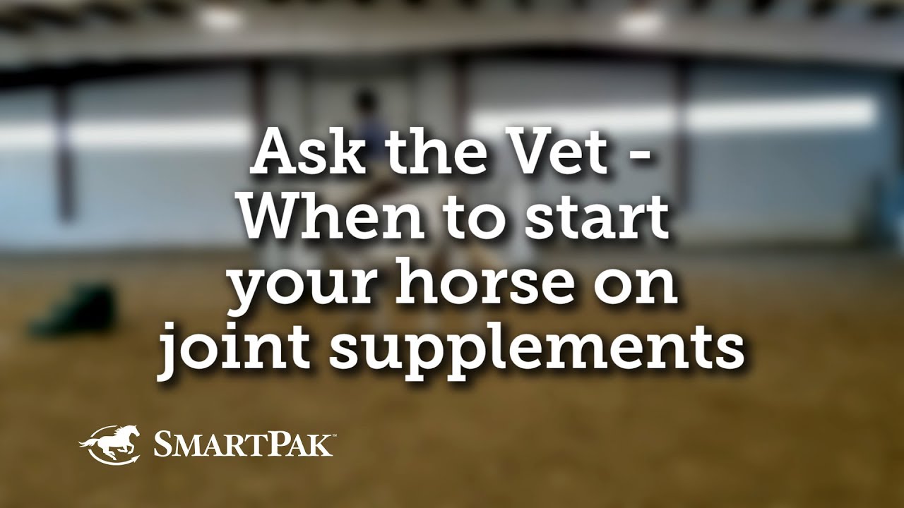 Horse Owner’s Guide to Joint Supplements FAQ, Video & Tips