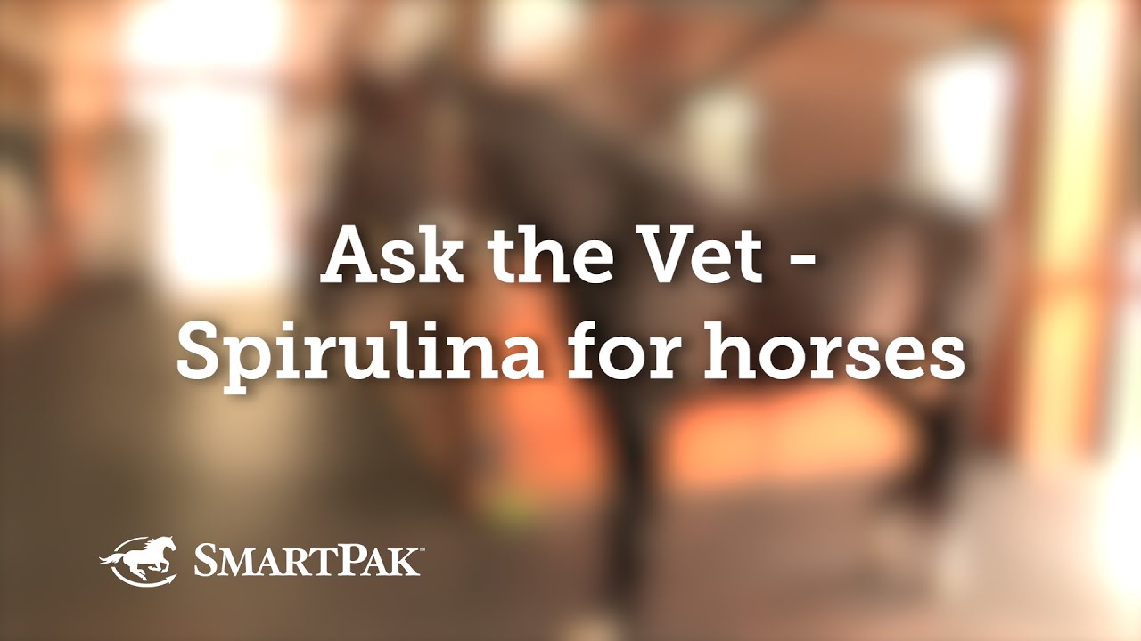 Video on Benefits of Spirulina for Horses (BlueGreen Algae)