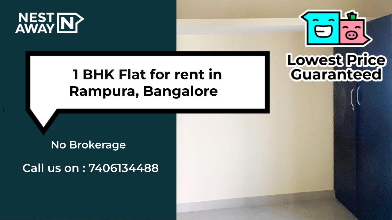 Step by Step Guide to Check Your PF Balance