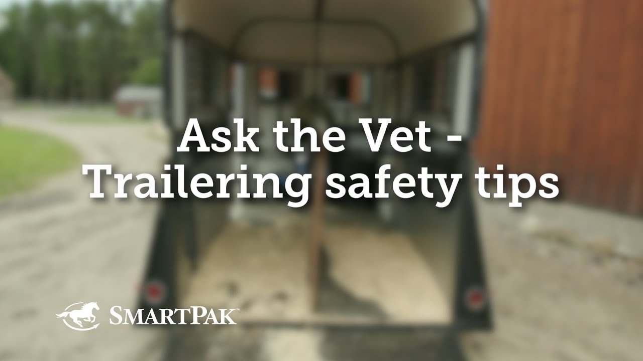 Horse Trailer Safety Tips for Tying, Bedding and Driving