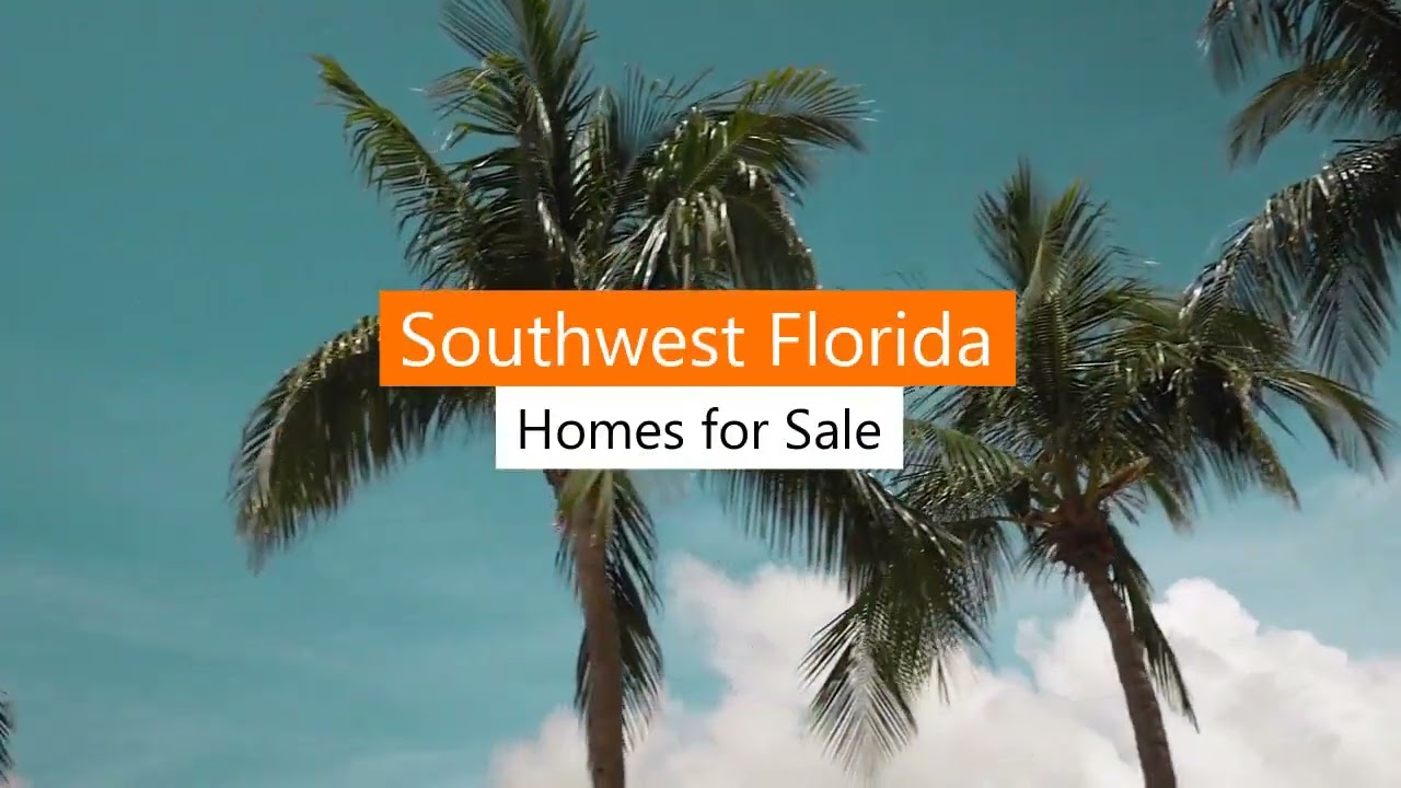 Realtor Dan Skelly Real Estate Agent Realtor Florida and Colorado