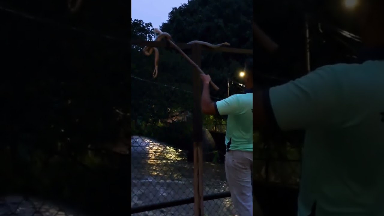 MahaRERA issues 5 directives for protecting property owners, homebuyers