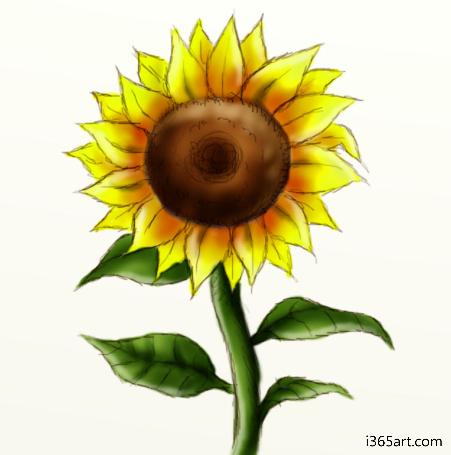sunflower I365Art