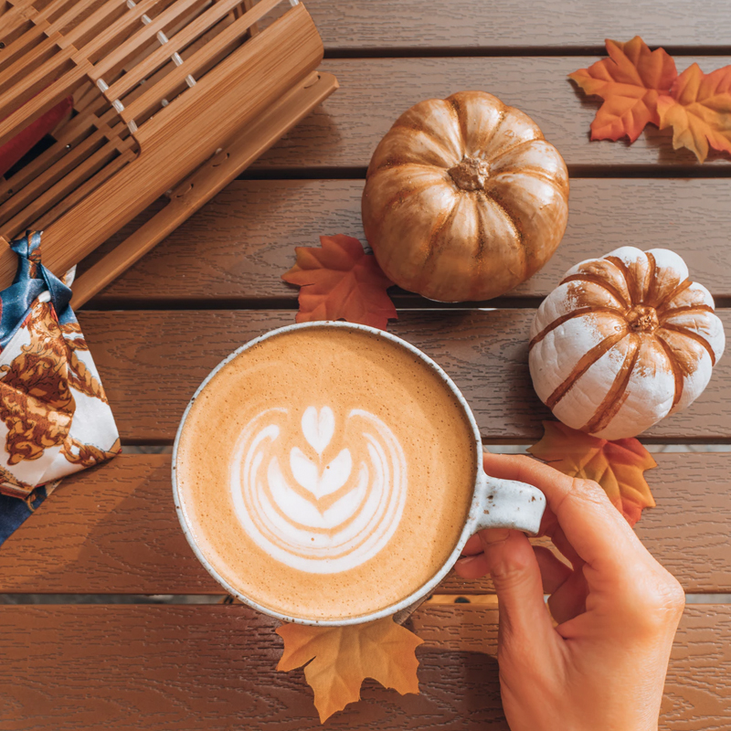 How to Turn Fun Fall Vibes Into Successful Marketing Tactics i3 Media