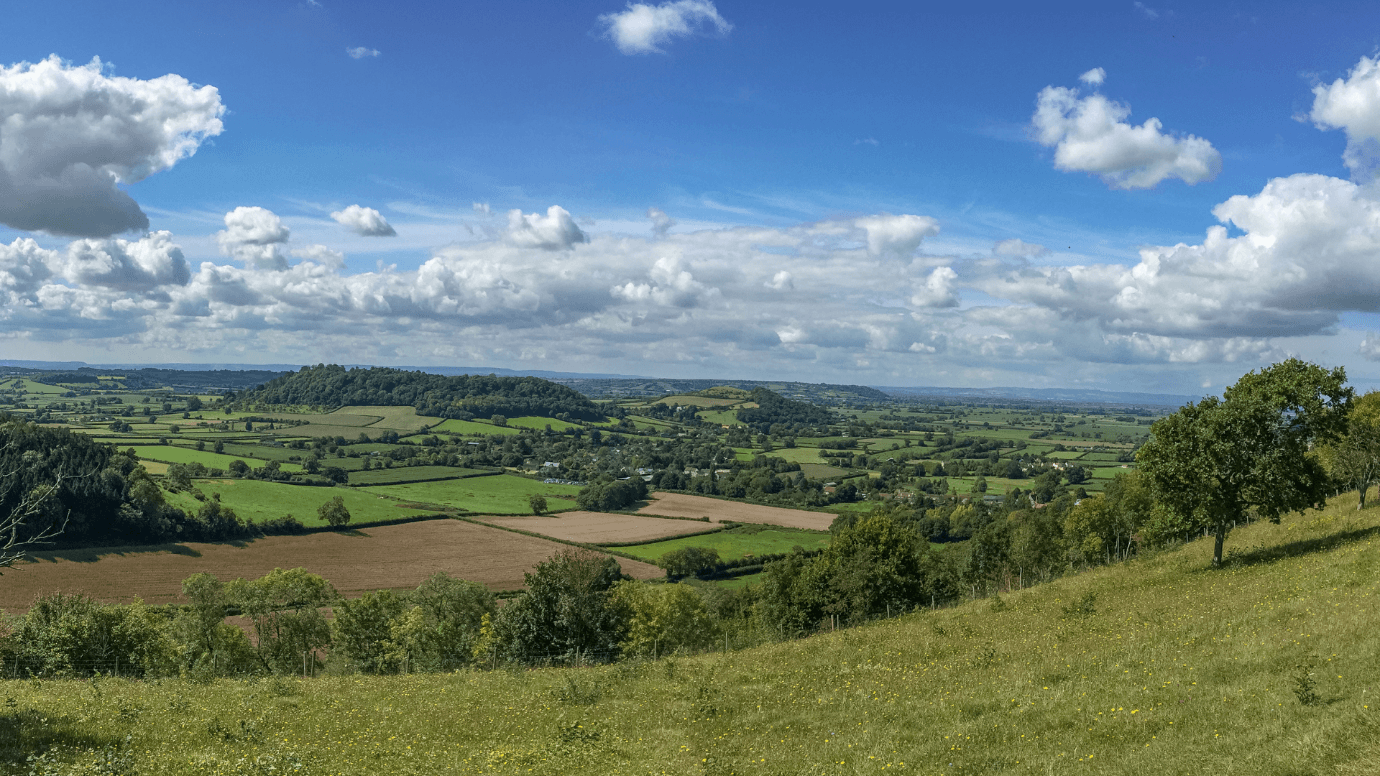 Case Study South Somerset District Council i3Secure