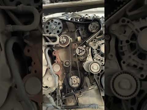 How and when to change the timing belt of the Audi Q5 2.0 TDI. (With video)