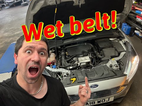 Guide to replacing the timing belt of the Ford Focus 1.0 Ecoboost (With