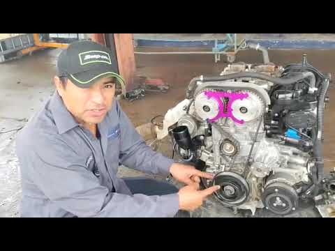 How do you replace the timing belt of the Ford Escape? (With video)