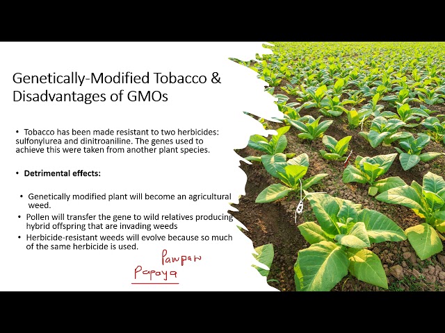 Which Career Combines DNA Technology and Agriculture?