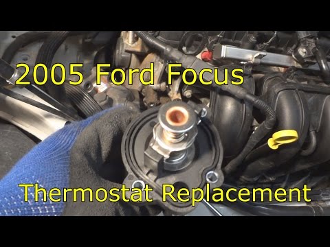 Entfernung und Austausch des Thermostats (Mit Video)