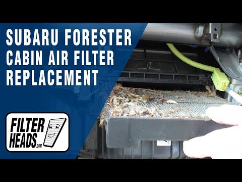How to replace the cabin air filter in the Subaru Forester 5. (With video)