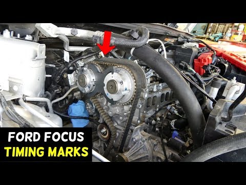Wie ersetzt man den Zahnriemen der Ford Focus? (Mit Video)