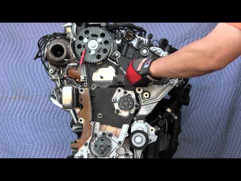 How to Replace the Timing Belt (With video)