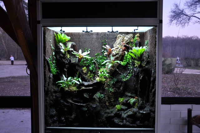 Terrarium tropical humide by "Le Pelu"