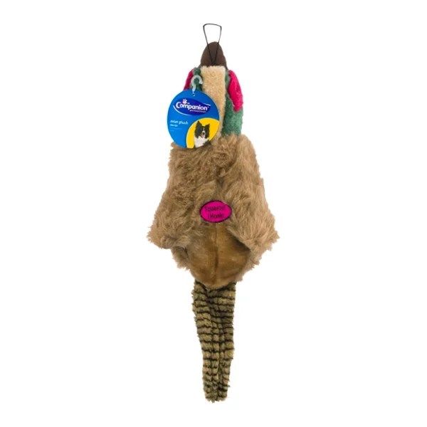 Save on Companion Essentials Dog Toy Plush Canadian Goose with Squeaker