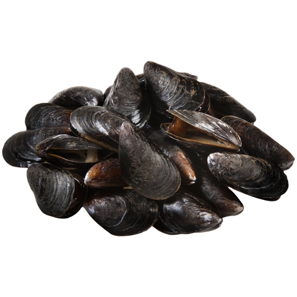 Save on Live Cultured Black Mussels Fresh Order Online Delivery Stop