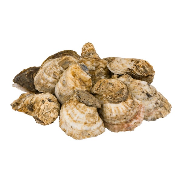 Save on Chincoteague Shellfish Farms WildCaught East Coast Oysters Order Online Delivery MARTIN'S